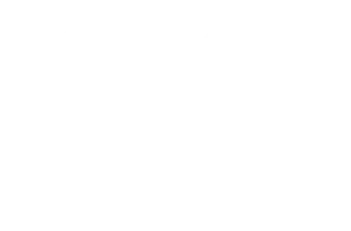 Linktim